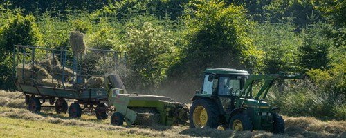 Agriculture, Food & Beverages